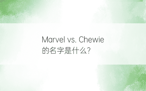 Marvel vs. Chewie 的名字是什么？ 